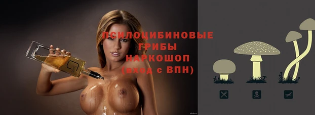 гидропоника Абинск